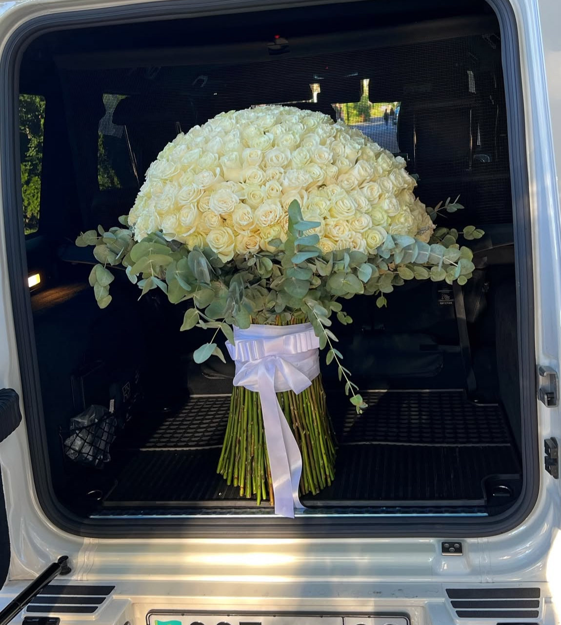 Royal White Symphony