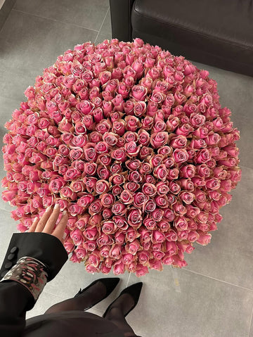 Soft Love – 300 Pink Roses